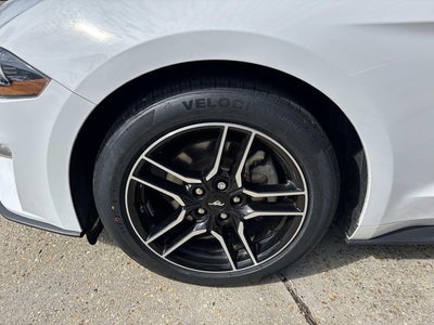 2023 Ford Mustang EcoBoost Premium